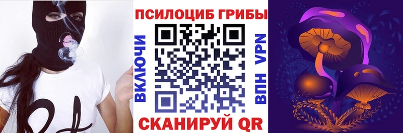 гидра   купить   Арзамас  Псилоцибиновые грибы прущие грибы 